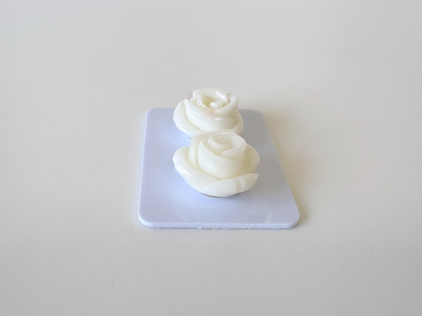Natural White Coral Rose Loose Pair, 17mm, White Color Rose, Natural Color Coral Rose, Price per Pair, Genuine Precious Coral