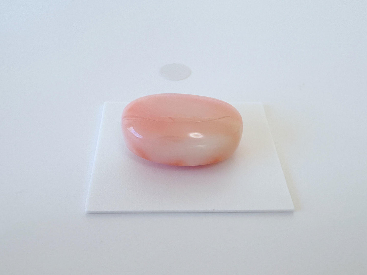 Natural Deep Sea Coral Cabochon, Pink/White/Orange Oval, 22.5x15.5mm