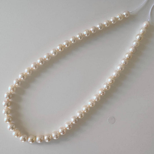 Akoya Pearl Strand: 8-8.5mm White Pink Overtone, Cultured Saltwater Pearls | Full Strand, 15.7in Length