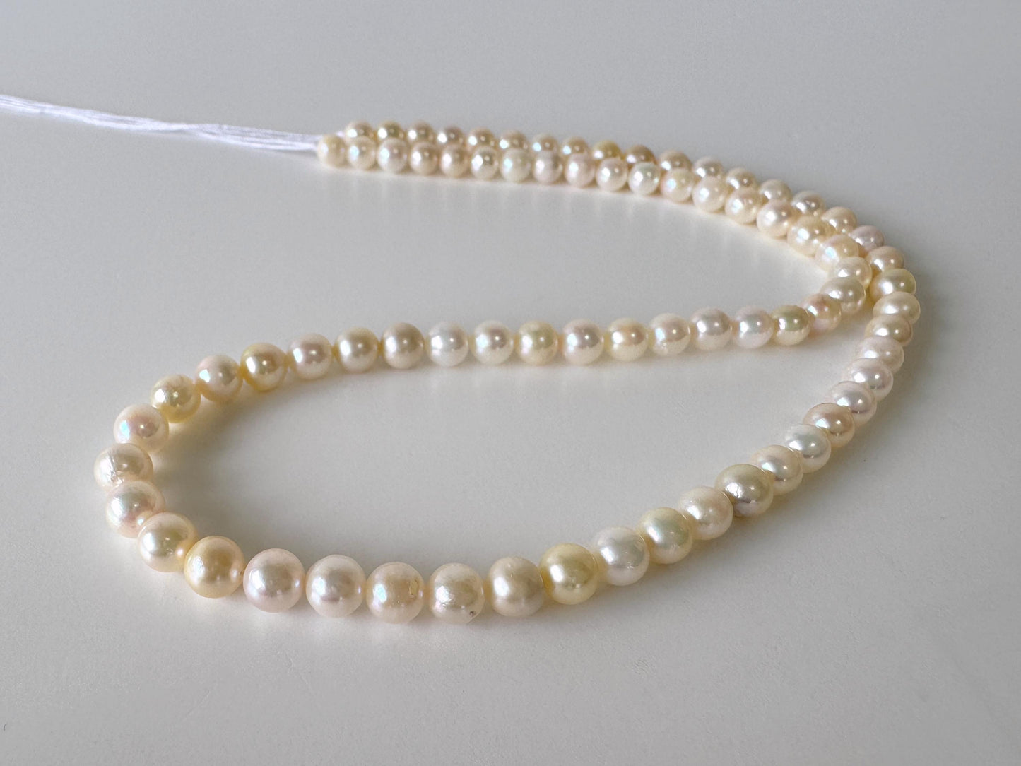 Japanese Akoya Pearl Strand - Cultured Saltwater Beads - 5-5.9mm White-Off White, Full 40cm Length, Jewelry Crafts