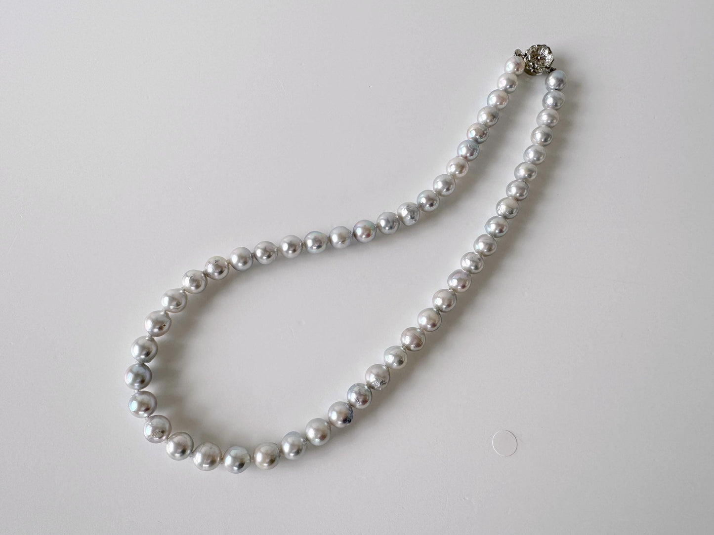 Japanese Akoya Pearl : Natural Blue Silver Color - Cultured Saltwater Pearls, 7.6-8.5mm Beads, Silver Clasp Necklace, 45cm