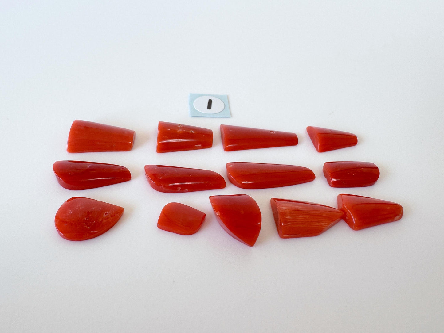 Red Mediterranean Coral Unique Shaped Cabochons: Jewelry Making Supplies (12-13pcs)