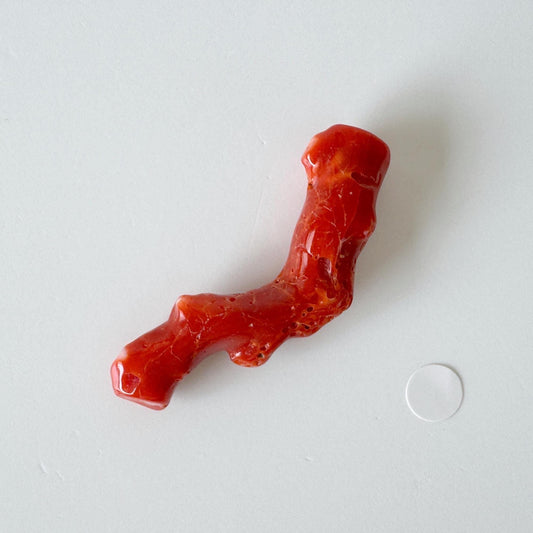 Japanese red(Aka) coral branch, 46mm, Hole on top, Natural red color coral for jewelry making