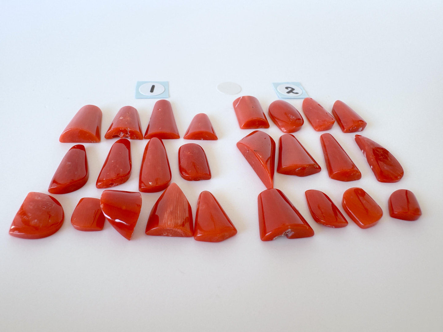 Red Mediterranean Coral Unique Shaped Cabochons: Jewelry Making Supplies (12-13pcs)