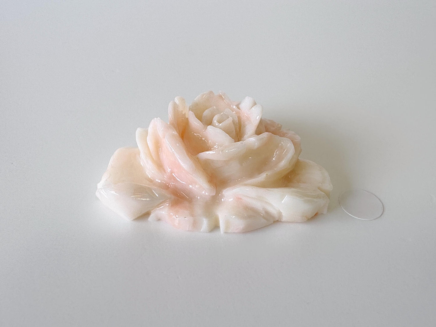 Natural Deep Sea Coral Rose Carving Loose, Natural Pink/White Color Coral, 43x34mm, Flat Back, For Jewelry Making