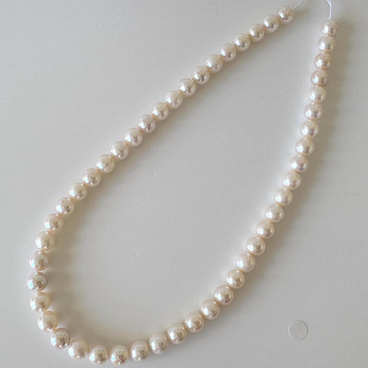 Akoya Pearl Strand: 8-8.5mm White Pink Overtone, Cultured Saltwater Pearls | Full Strand, 15.7in Length
