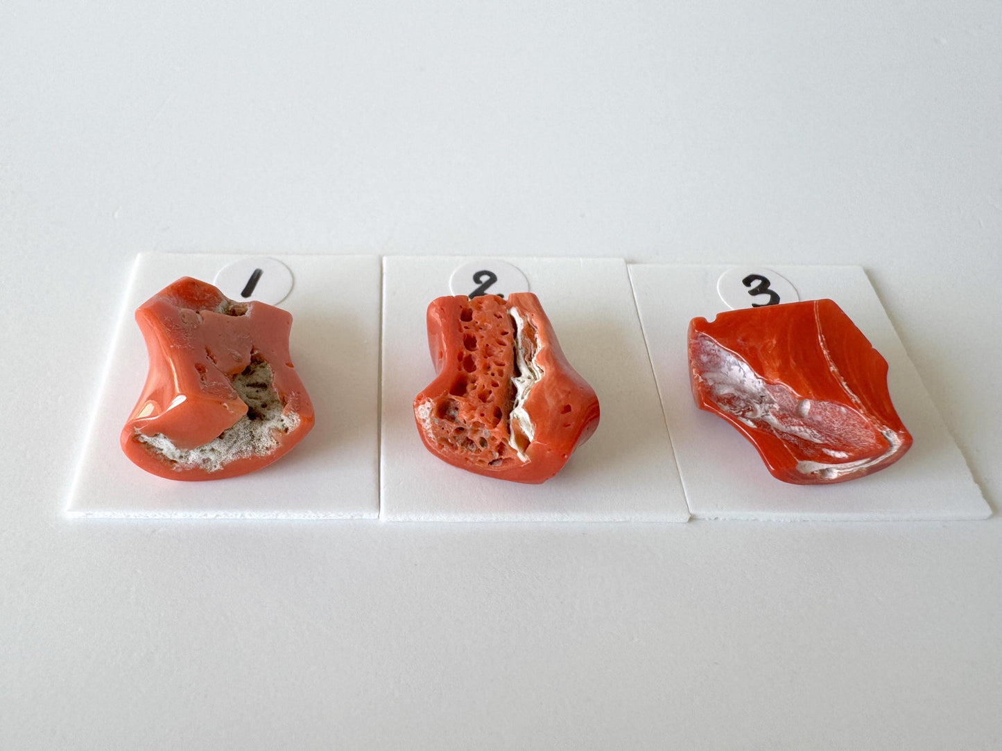 Mediterranean Coral Loose Gemstone: Natural Red-Orange Tones - Untreated, Top-hole, Jewelry Making Supplies, Per Piece