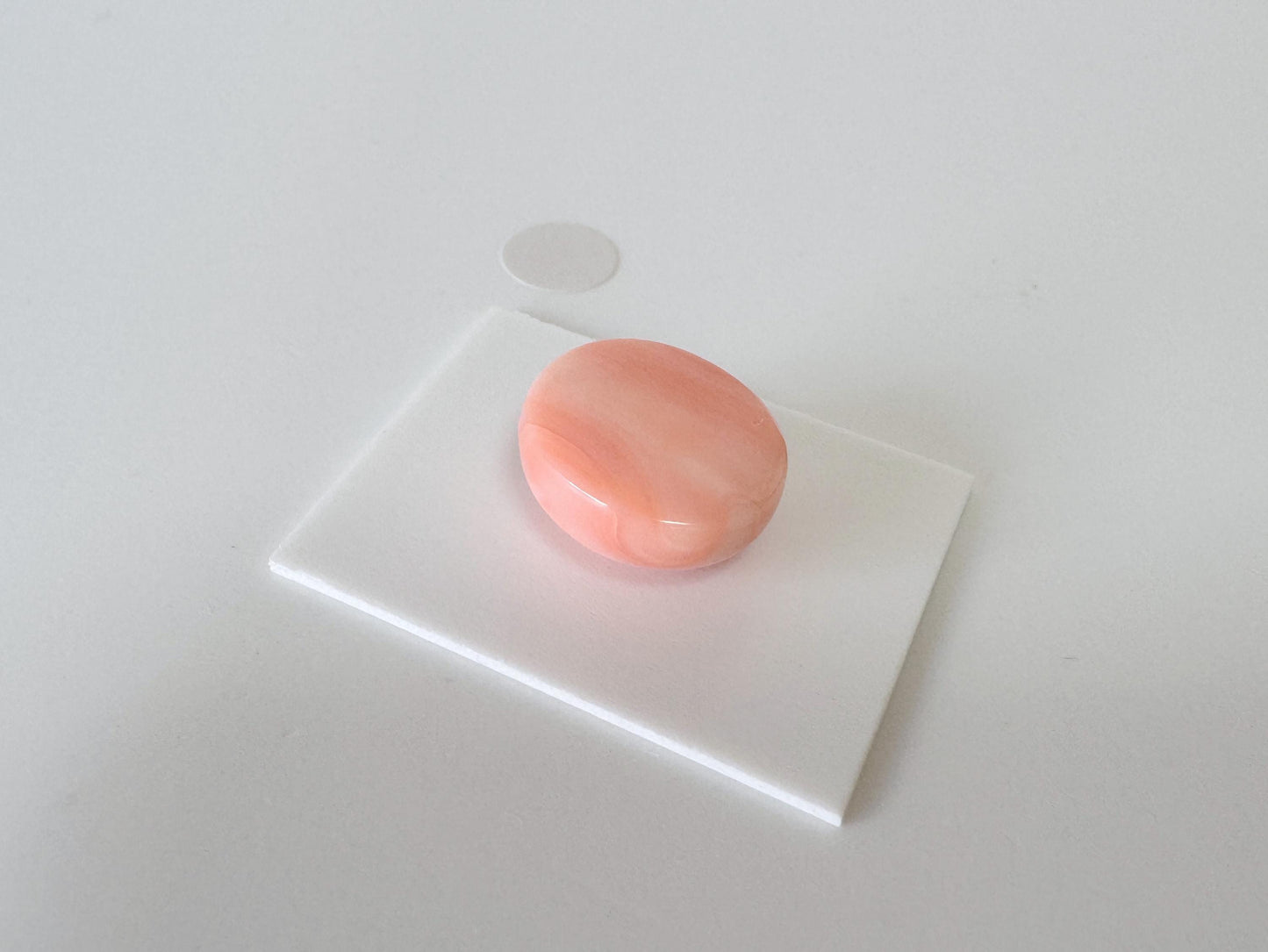 Natural Deep Sea Coral Cabochon, Pink/Orange Oval, 14.2x12.3mm