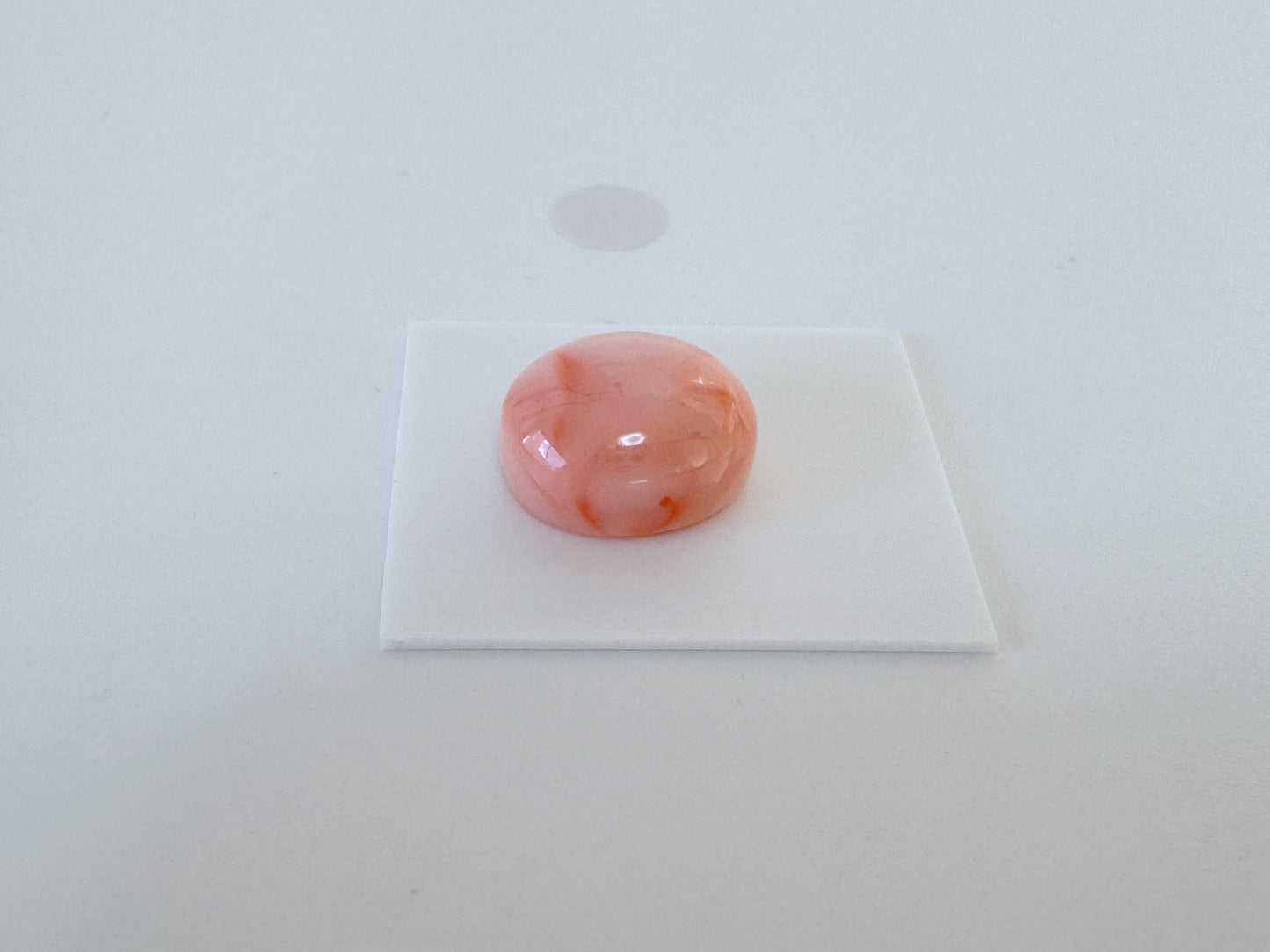 Natural Deep Sea Coral Cabochon, Pink/Orange Oval, 14.2x12.3mm
