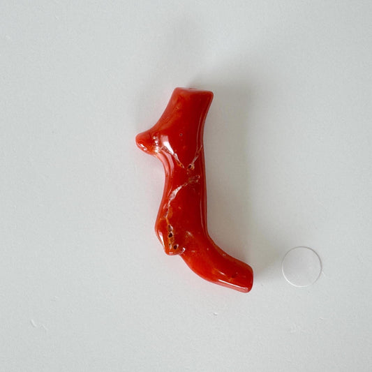 Japanese red(Aka) coral branch, 40mm, Hole on top, Natural red color coral for jewelry making