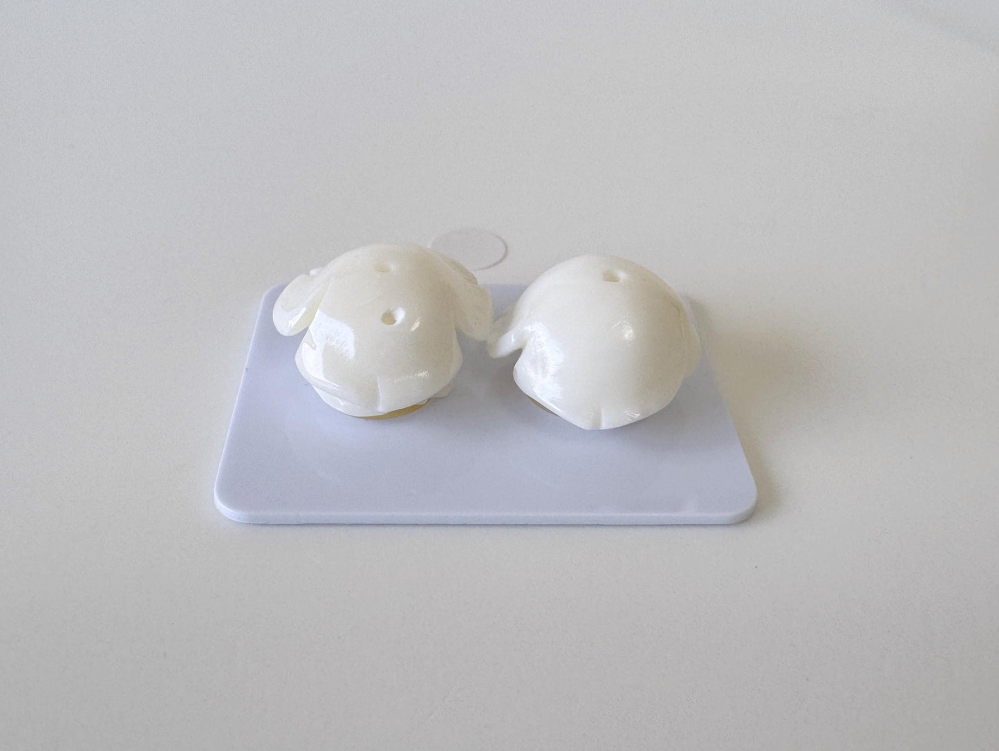 Natural White Coral Rose Loose Pair, 17mm, White Color Rose, Natural Color Coral Rose, Price per Pair, Genuine Precious Coral