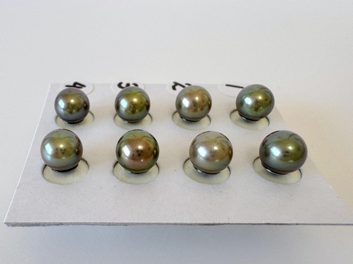 Japanese Peacock Black Akoya Pearl (Color Treated) Stud Earrings (7-7.5mm, Titanium Posts, Saltwater Cultured)