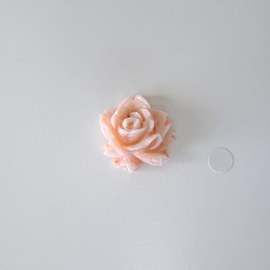 Natural Deep Sea Coral Rose Carving Loose, Natural Pink Color Coral, 25x25mm, Flat Back, For Jewelry Making, Hand Carved