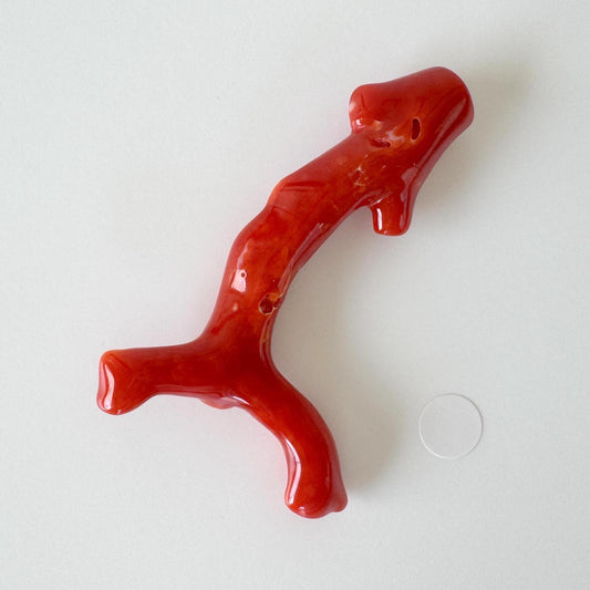 Japanese red(Aka) coral branch, 55mm, Hole on top, Natural red color coral for jewelry making