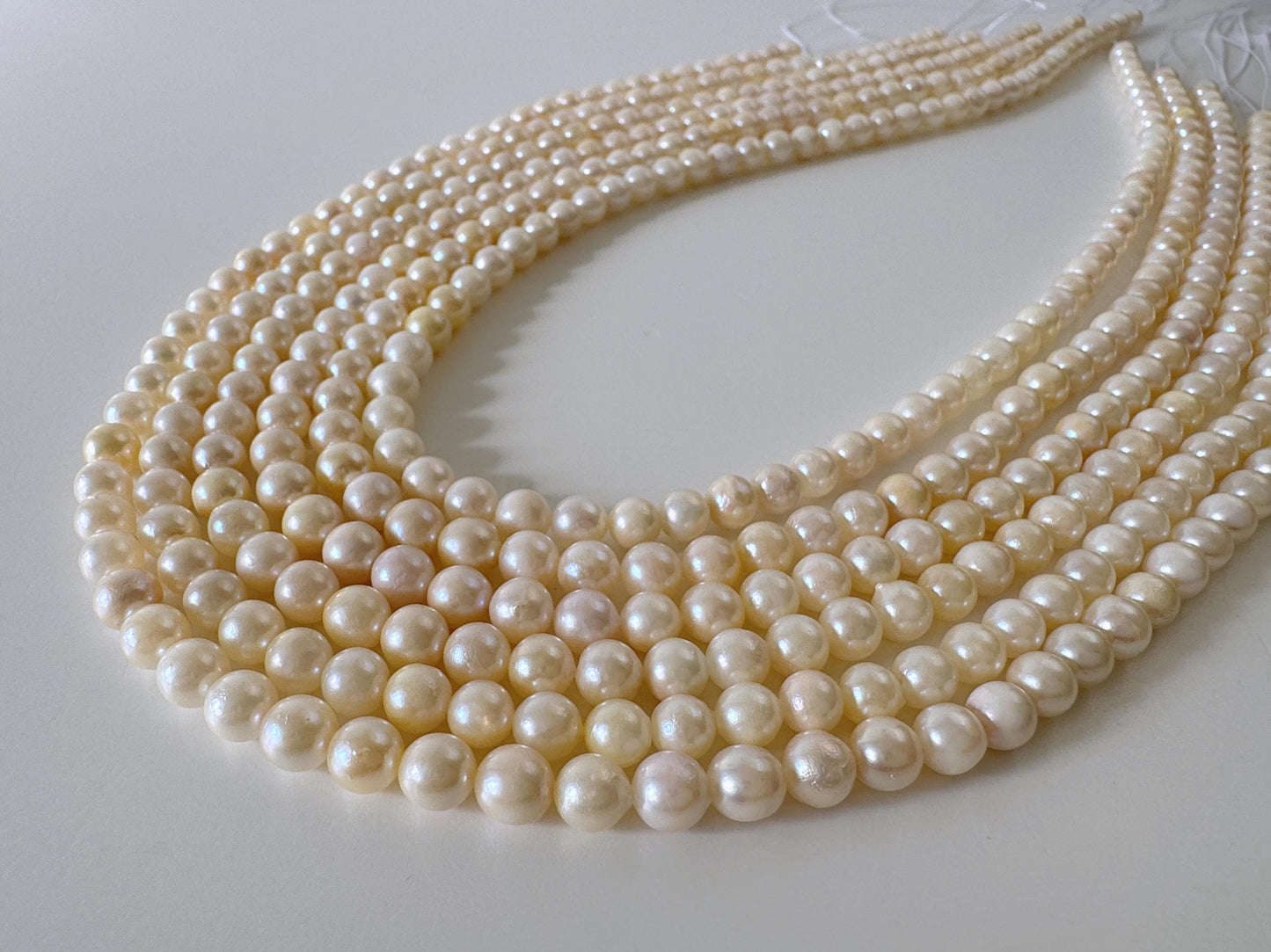 Japanese Akoya Pearl Strand - Cultured Saltwater Beads - 5-5.7mm Off White/Cream, Full 40cm Length, Jewelry Crafts, Value-Priced