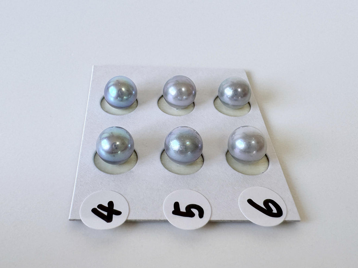 Japanese Blue/Silver (Treated) Akoya Pearl 7-7.5mm, Half-Drilled loose, Price per pair, Salt water pearl