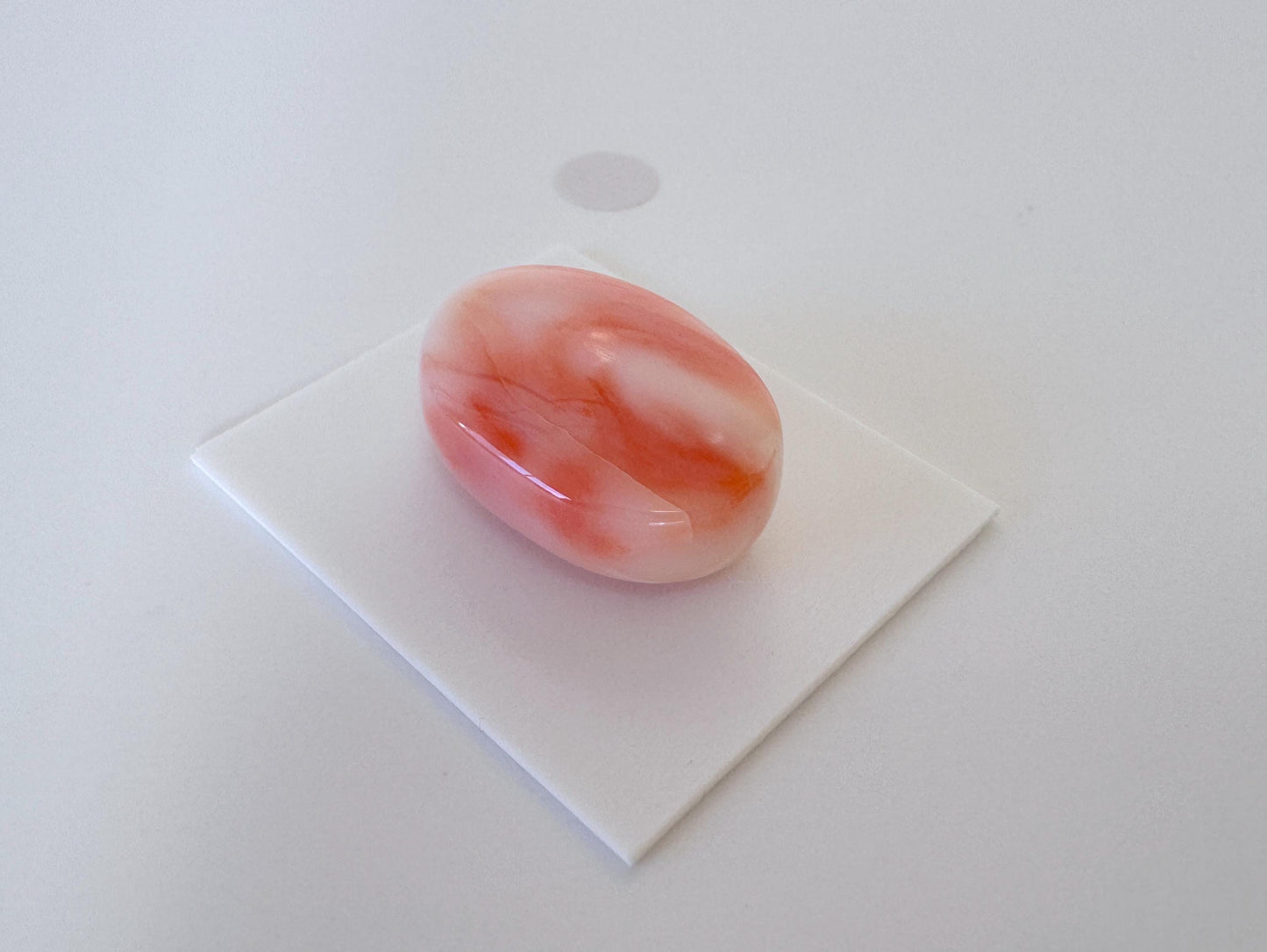 Natural Deep Sea Coral Cabochon, Pink/White/Orange Oval, 22.5x15.5mm