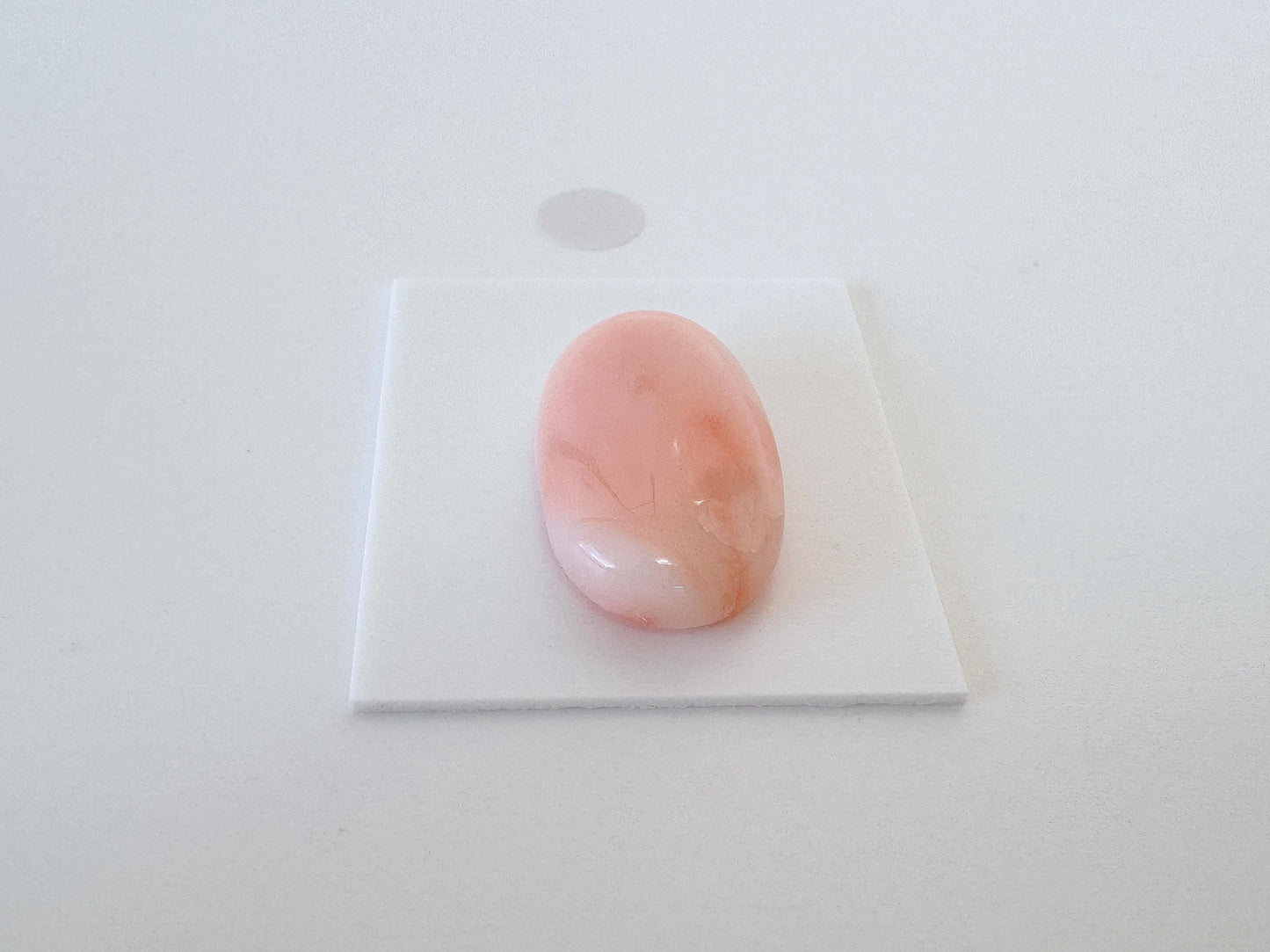 Natural Deep Sea Coral Cabochon, Pink/Orange Oval, 22x13.4mm