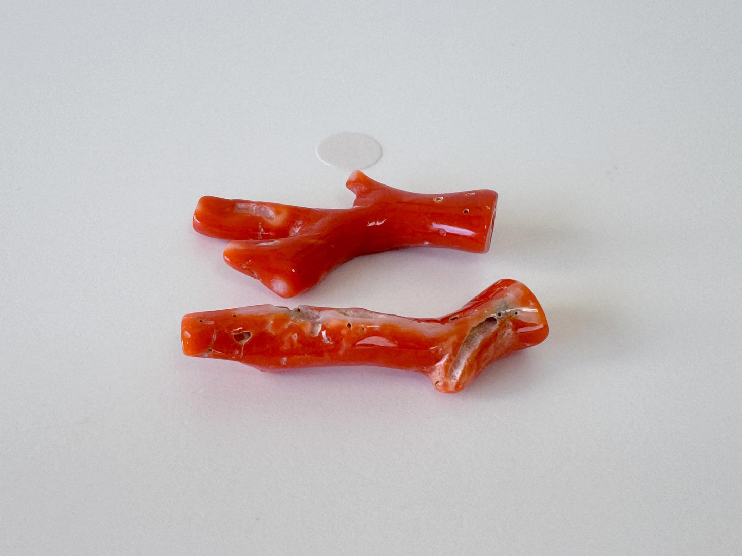 Red Coral Branch Set: Natural Aka Coral for Jewelry Making (31-32mm), Hole on Top