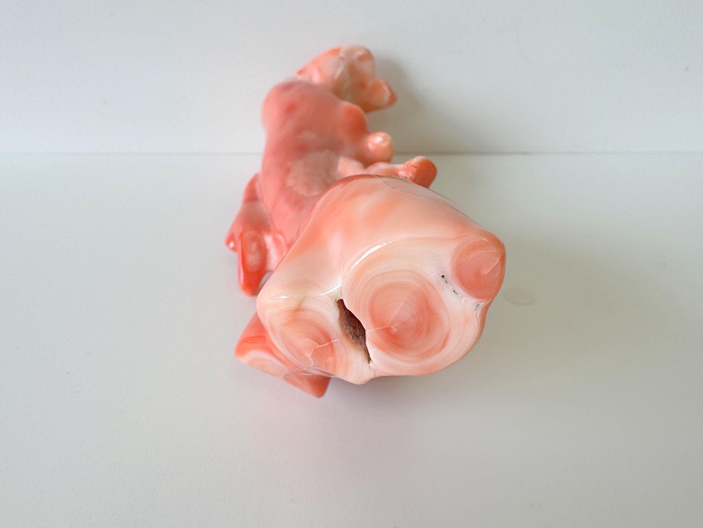 15ｘ5cm Big Diameter Natural Deep Sea Coral Branch Loose, Genuine Natural Color Orange/Pink Color Coral Branch, No Drilled Hole, For Display