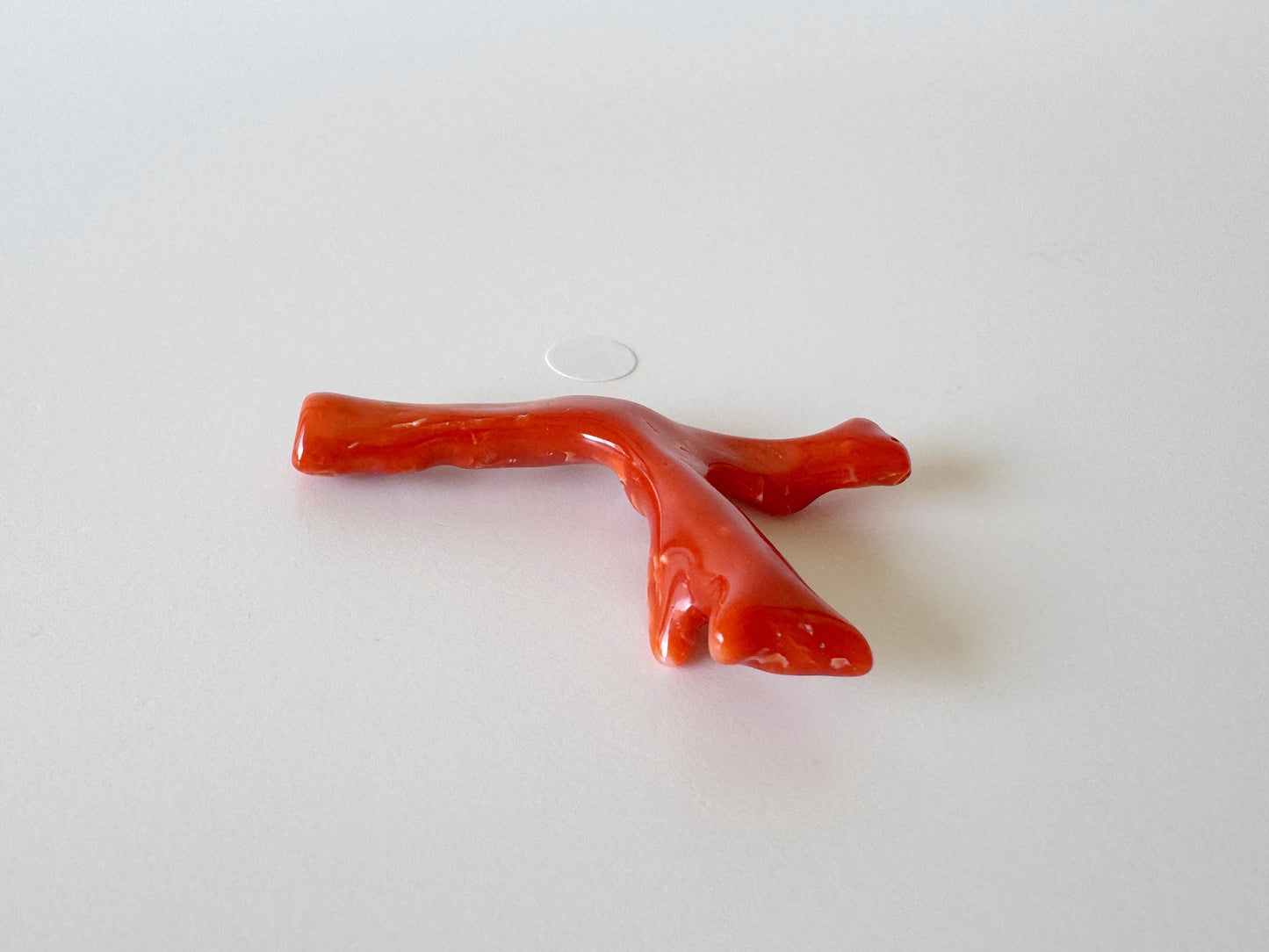Japanese red(Aka) coral branch, 45mm, Hole on top, Natural red color coral for jewelry making