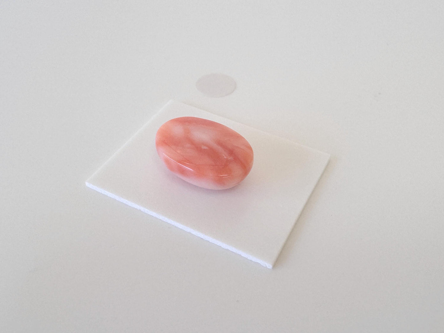 Natural Deep Sea Coral Cabochon, Pink/Orange Oval, 15.6x11mm