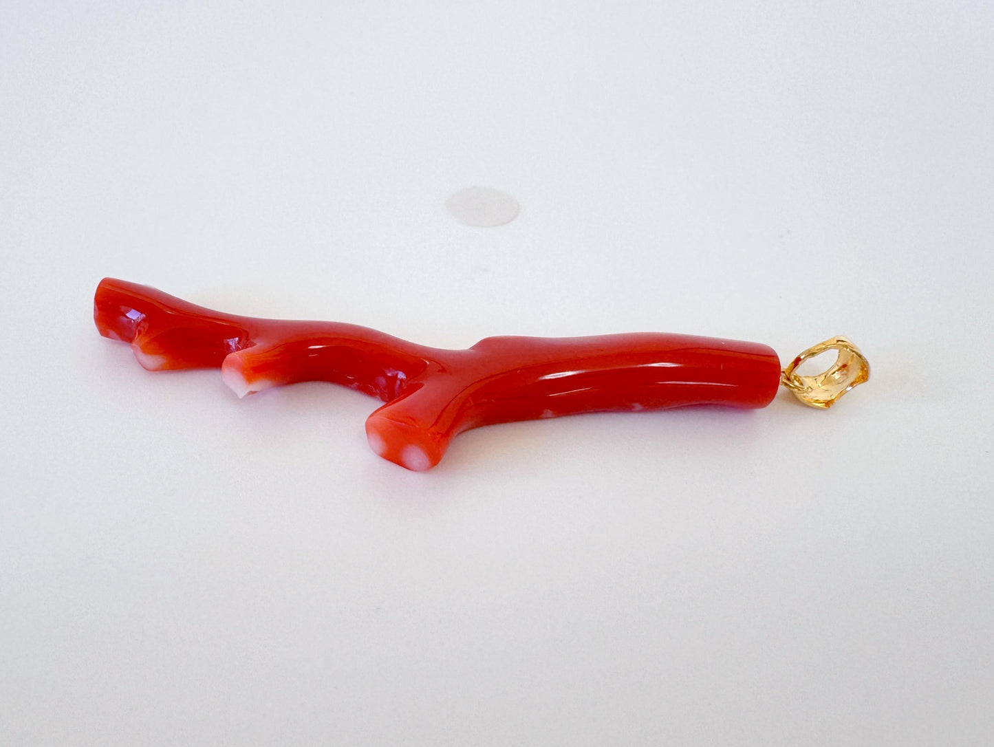 Natural Red Coral Branch Pendant: Japanese Aka Coral, Gold Plated Silver Bail, 55mm