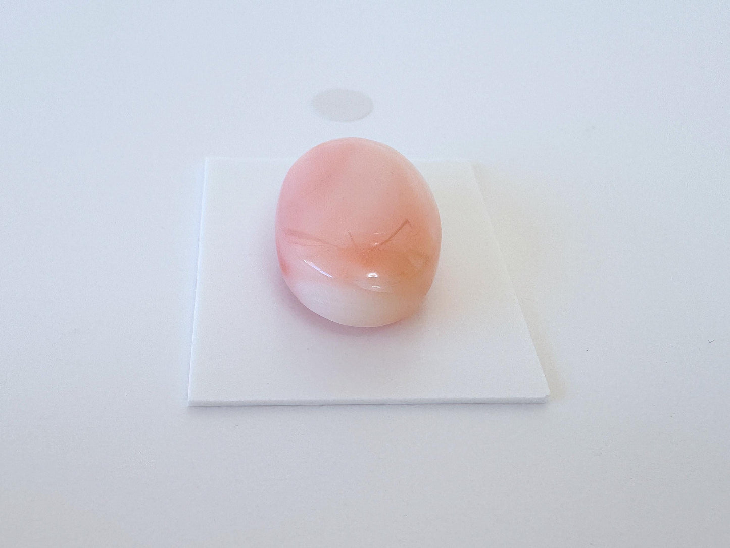 Natural Deep Sea Coral Cabochon, Pink/White/Orange Oval, 22.5x15.5mm