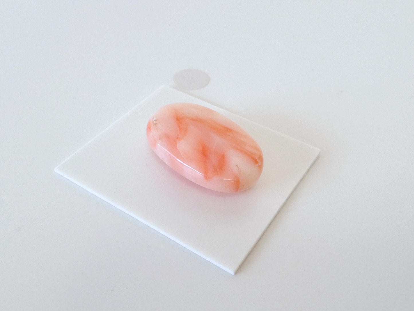 Natural Deep Sea Coral Cabochon, Pink/Orange Oval, 22x13.4mm