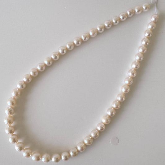 Akoya Pearl Strand: 8-8.5mm White Pink Overtone, Cultured Saltwater Pearls | Full Strand, 15.7in Length