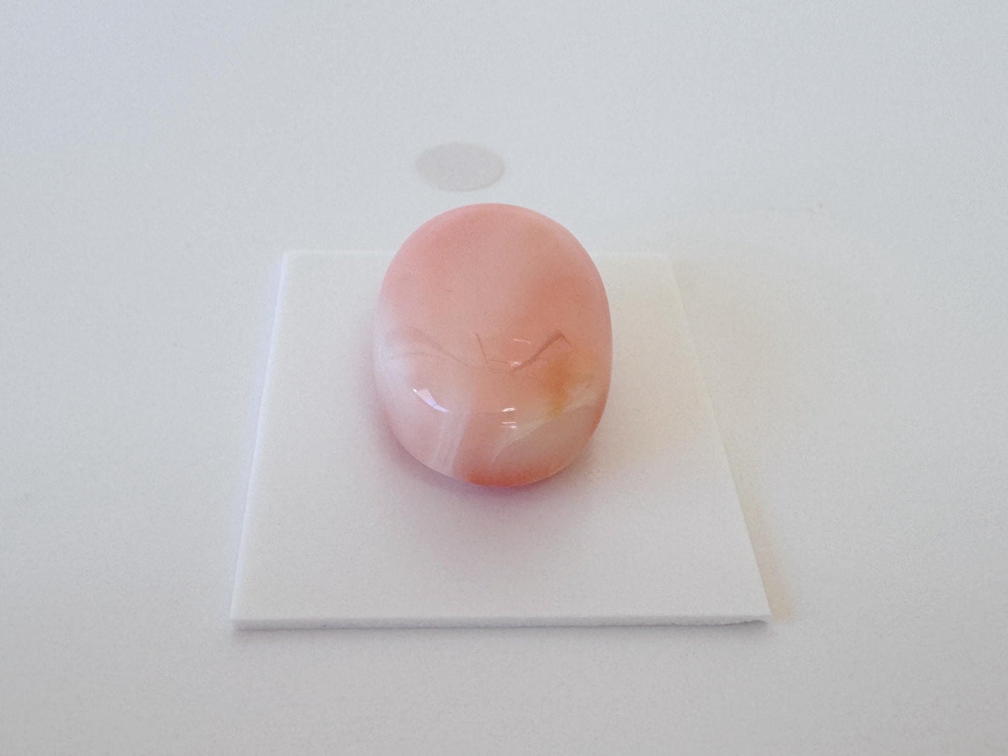 Natural Deep Sea Coral Cabochon, Pink/White/Orange Oval, 22.5x15.5mm