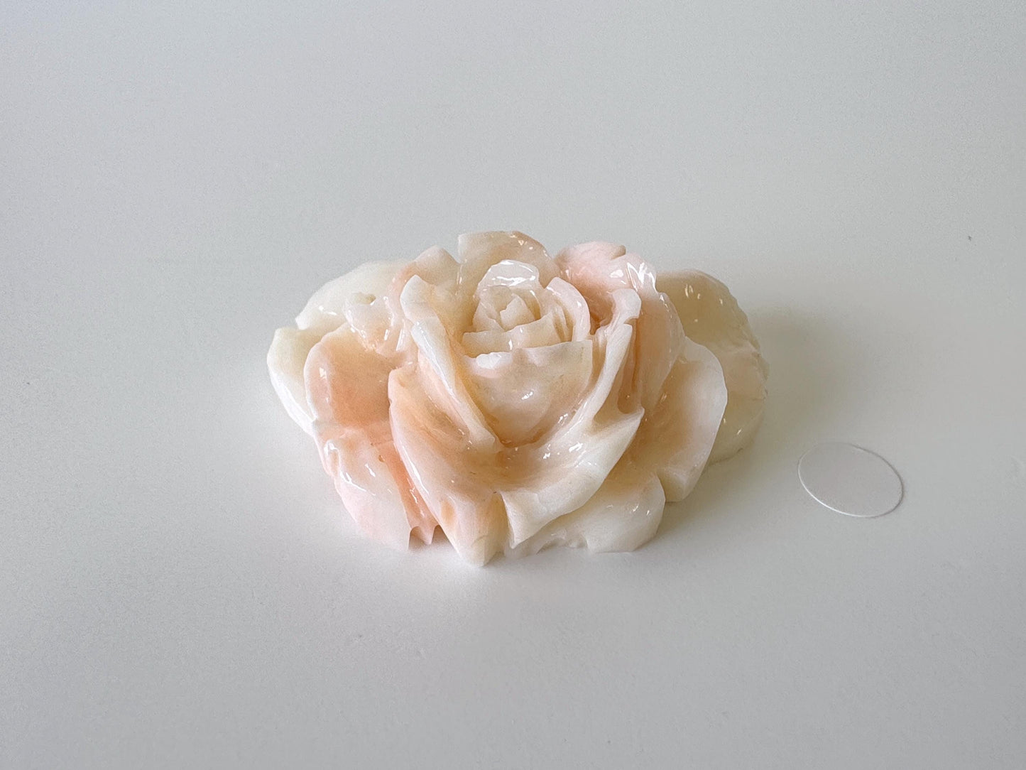 Natural Deep Sea Coral Rose Carving Loose, Natural Pink/White Color Coral, 43x34mm, Flat Back, For Jewelry Making