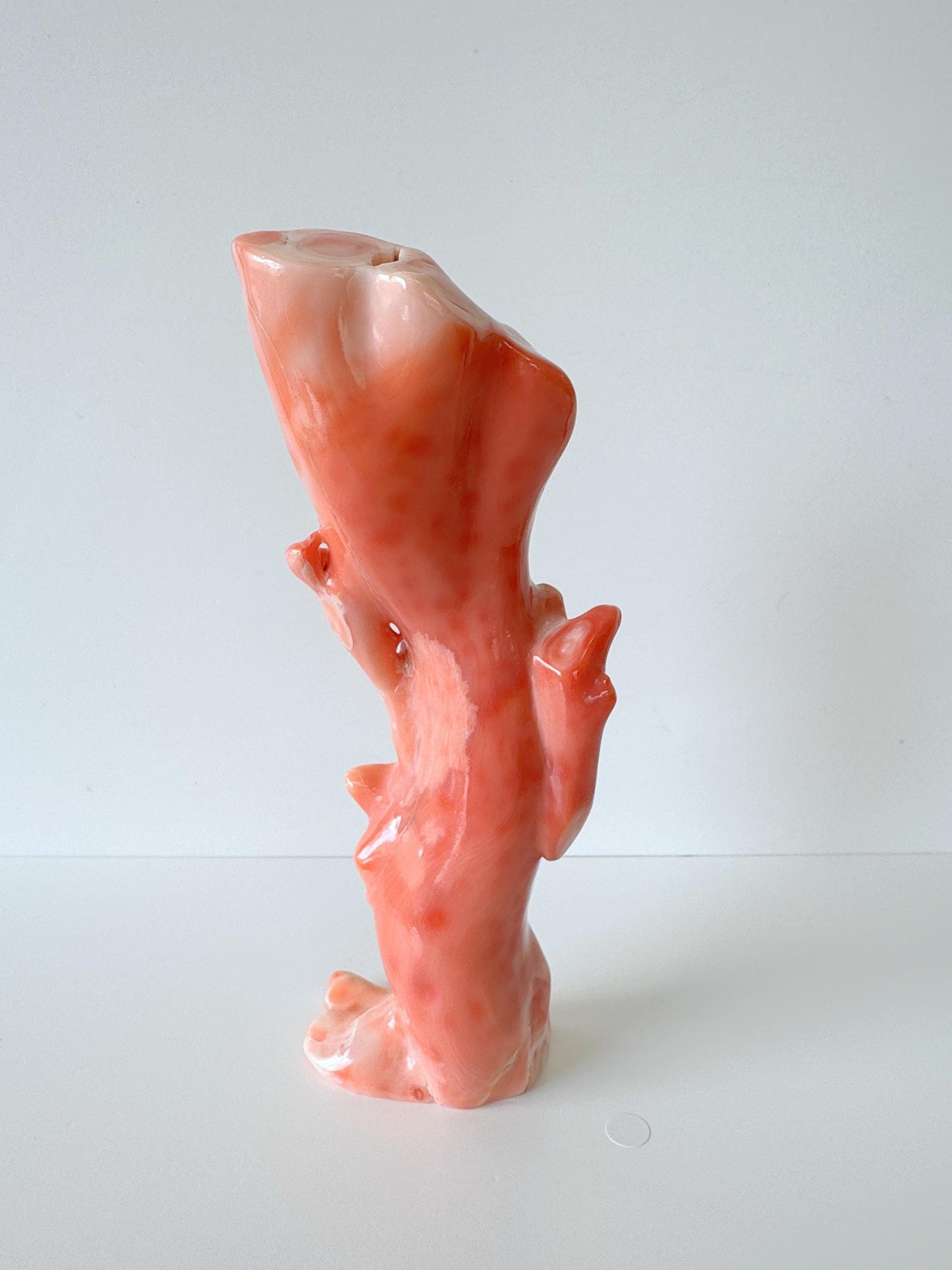 15ｘ5cm Big Diameter Natural Deep Sea Coral Branch Loose, Genuine Natural Color Orange/Pink Color Coral Branch, No Drilled Hole, For Display