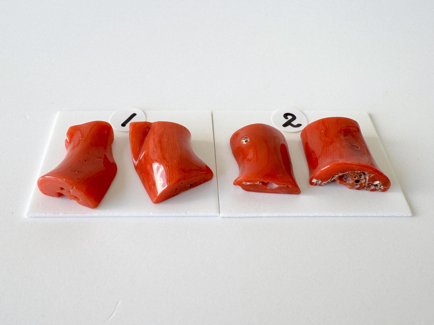 Mediterranean Coral Loose Gemstone: Natural Red-Orange Tones - Untreated, Top-hole, Jewelry Making Supplies, Per Pair