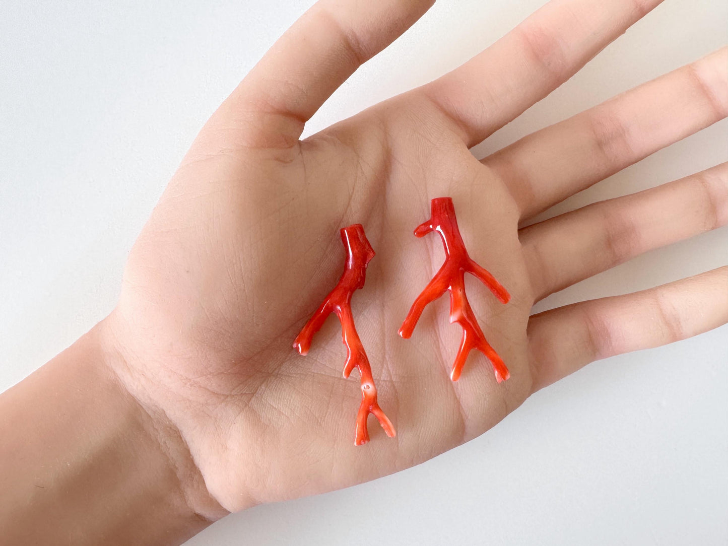 Red Coral Branch Set: Natural Aka Coral for Jewelry Making (41-45mm), Hole on Top