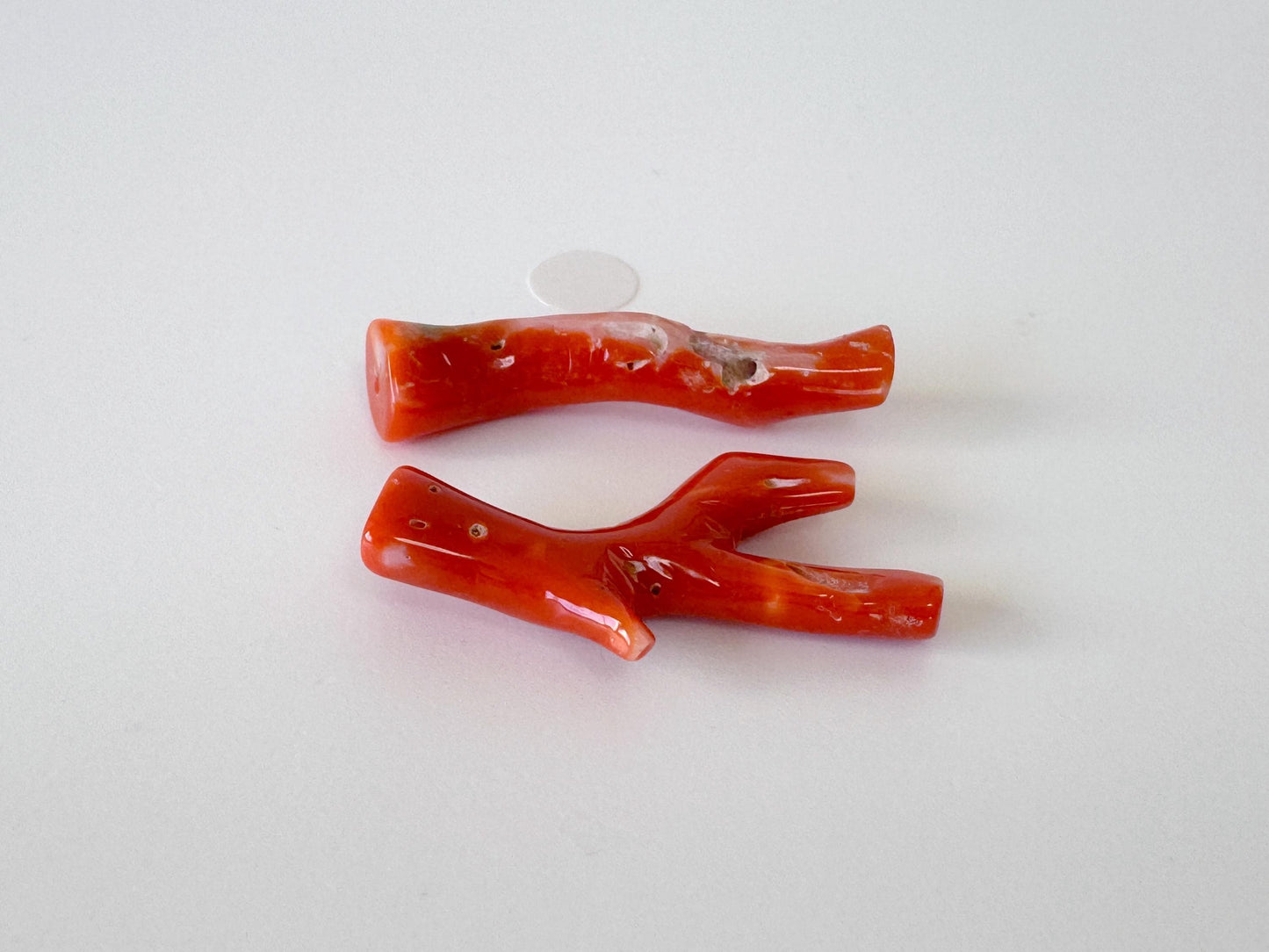 Red Coral Branch Set: Natural Aka Coral for Jewelry Making (31-32mm), Hole on Top