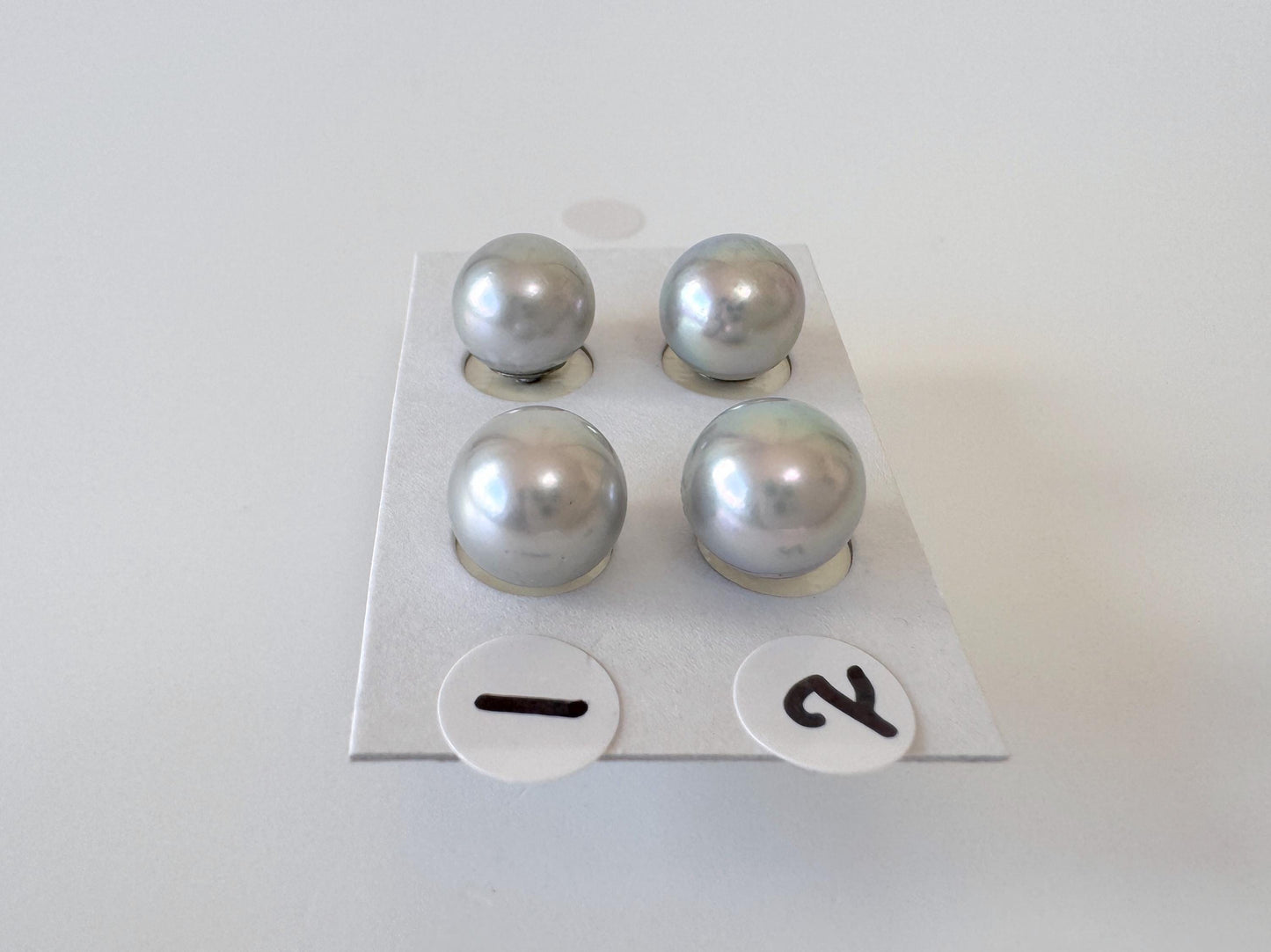 Blue Akoya Pearl Stud Earrings, 8.7mm, Titanium Posts  (Cobalt treated)