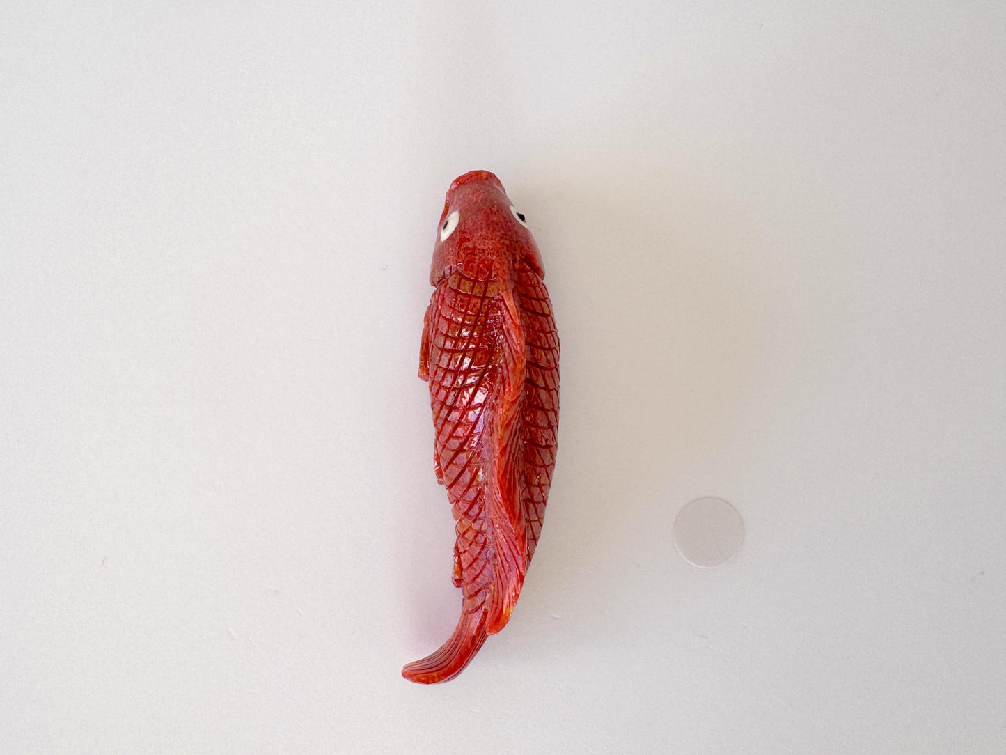 Sponge Coral Carp Carving: 55mm Apple Coral Fish