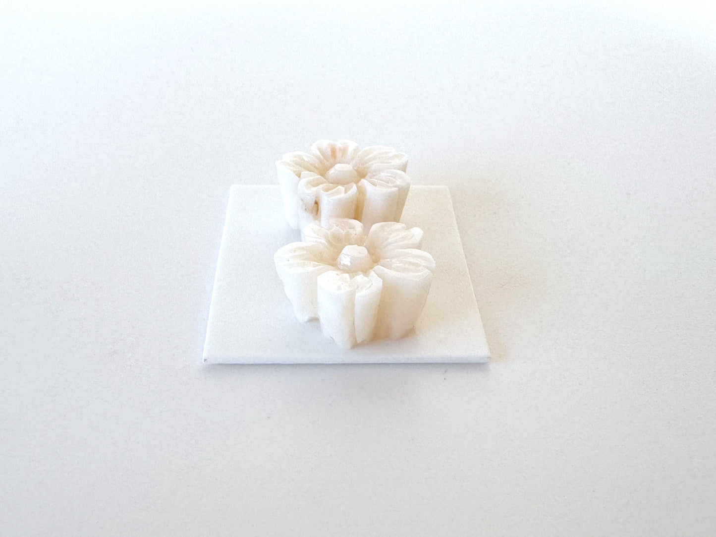 Natural Coral Carving - White Cherry Blossom, 15.5mm Sakura Pair