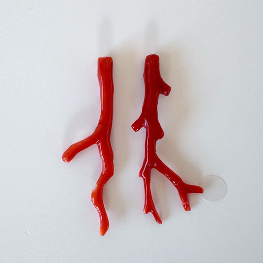 Red Coral Branch Set: Natural Aka Coral for Jewelry Making (48-50mm), Hole on Top