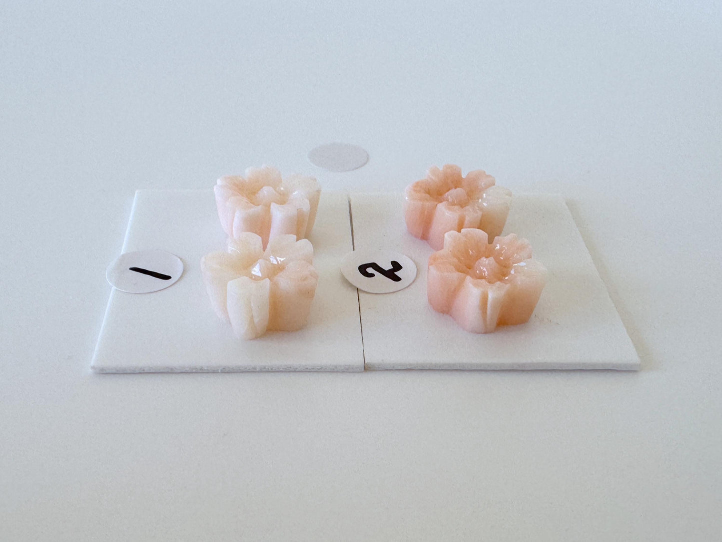 Deep Sea Coral Carving – Natural Pink Sakura Flower, 11mm Pair, Half Drilled Gemstones