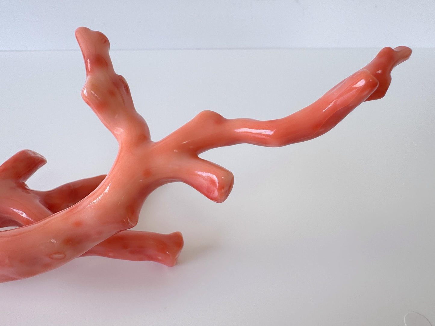 17.5ｘ7cm Natural Deep Sea Coral Branch Loose, Genuine Natural Color Orange/Pink Color Coral Branch, No Drilled Hole, For Display