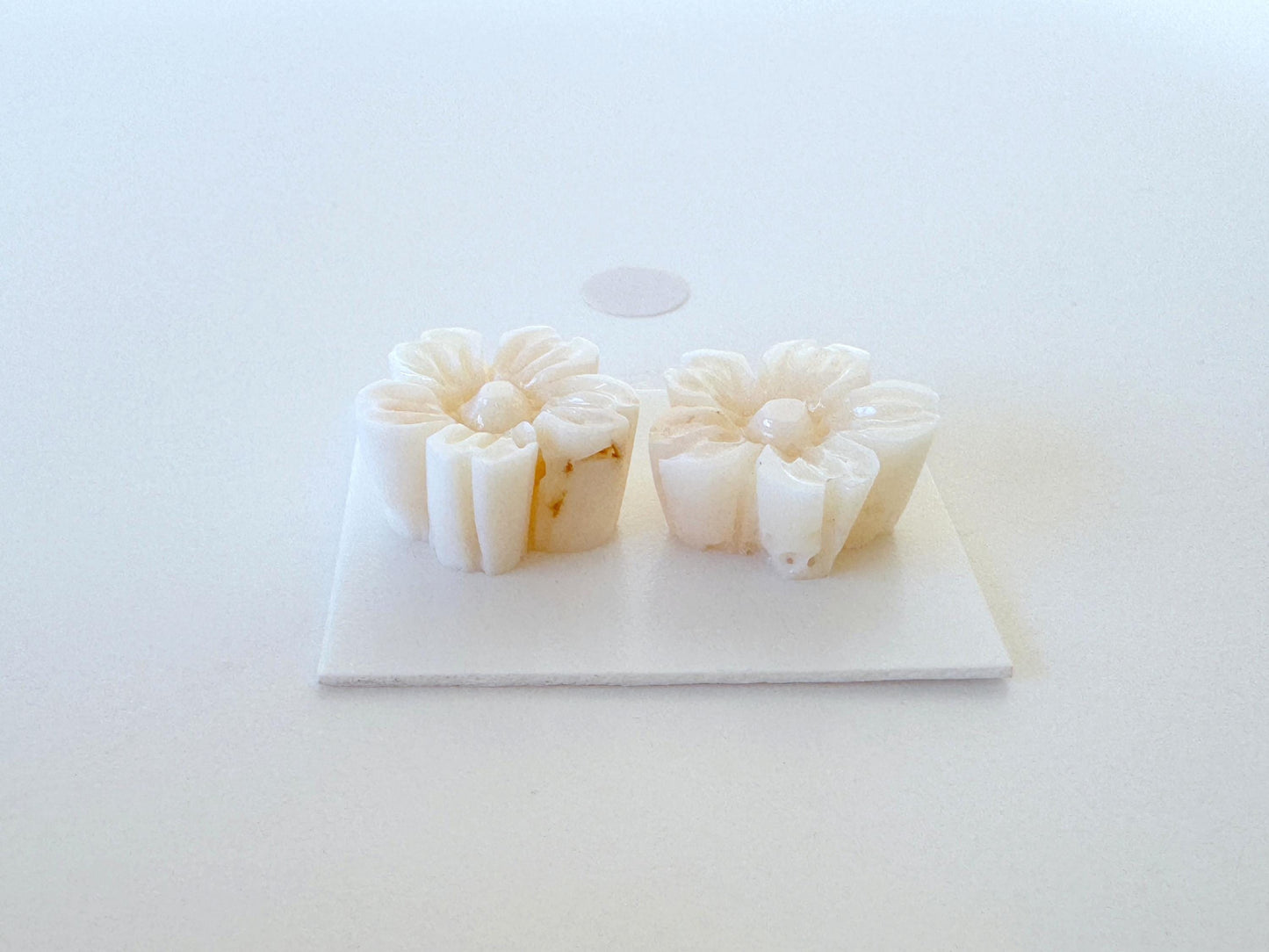 Natural Coral Carving - White Cherry Blossom, 15.5mm Sakura Pair