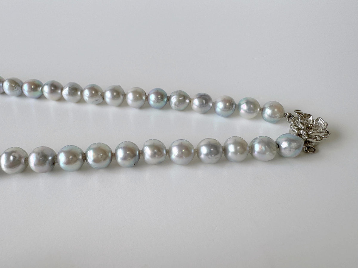 Japanese Akoya Pearl : Natural Blue Silver Color - Cultured Saltwater Pearls, 7.6-8.5mm Beads, Silver Clasp Necklace, 45cm