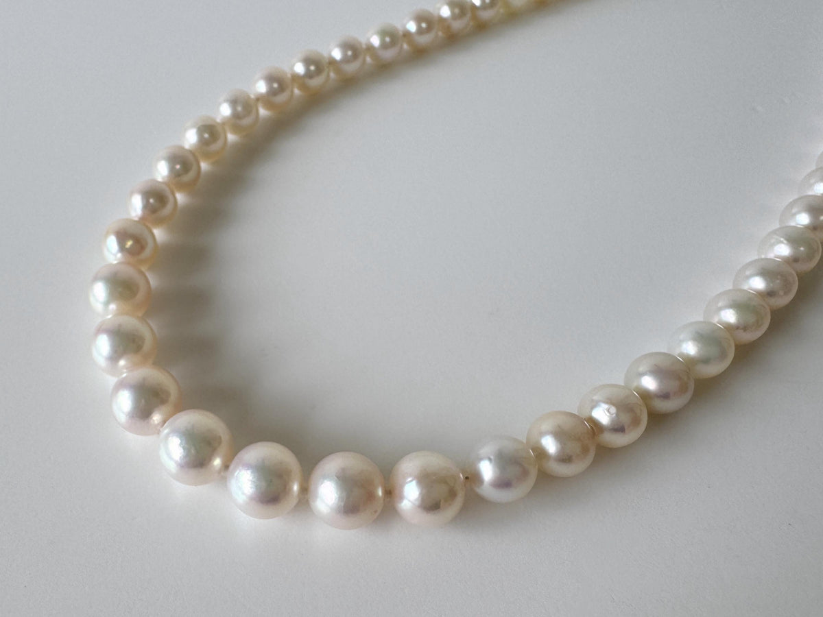 Japanese Akoya Pearl Necklace: White/Slightly Pink 6.9-9.3mm Cultured Strand, Silver Clasp | Saltwater Gems, 47cm Length
