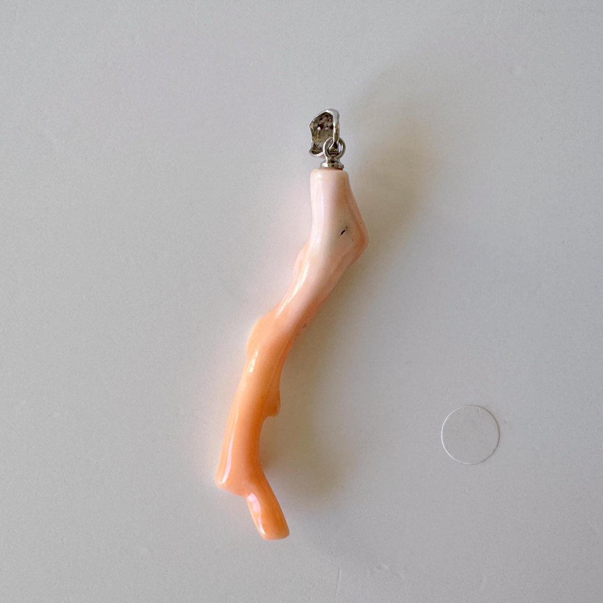 Coral Branch Pendant - Natural Deep Sea Coral Jewelry - Pink / White Branch, Rhodium-Plated Silver Bail, 50mm Length