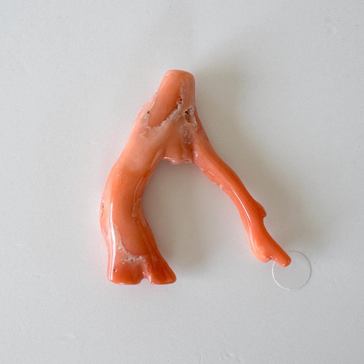Natural Coral Branch, Pink Orange, 41mm | Hole Top | Deep Sea Coral Jewelry Making Supply