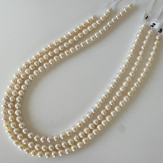 Japanese Akoya Pearl Strand: 6.5-7mm White Pink Cultured Saltwater Pearls, Full Strand | Genuine Beads, Craft Supplies | 40cm Length