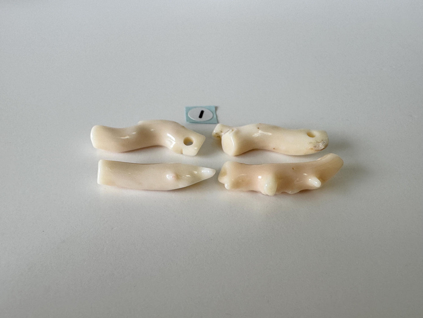 Natural Coral Branch: Deep Sea White-Pink Midway Coral, Genuine Material | Set of 4 Pieces, Drilled Holes, Jewelry Supplies, 26-37mm Length
