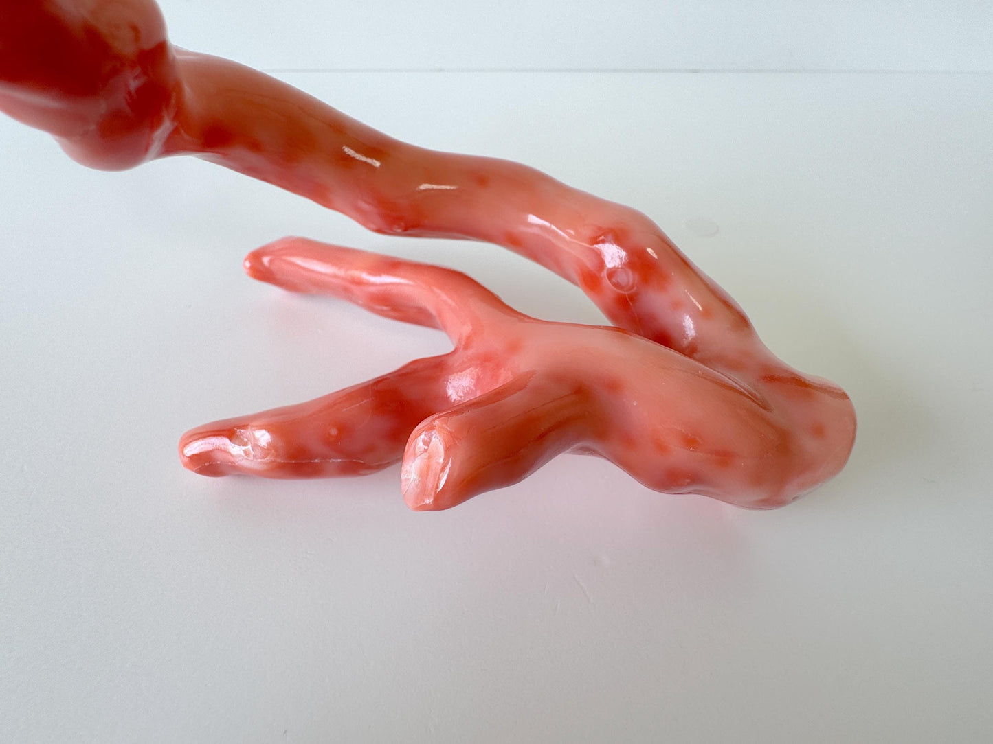 17.5ｘ7cm Natural Deep Sea Coral Branch Loose, Genuine Natural Color Orange/Pink Color Coral Branch, No Drilled Hole, For Display